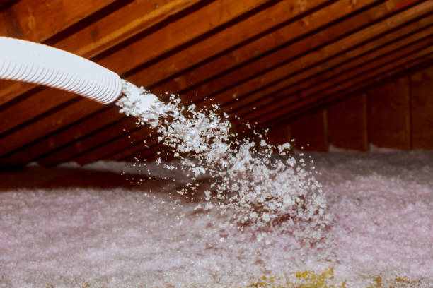 Best Residential Insulation in Shoh, IL
